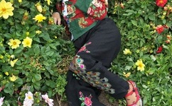 亚洲AV无码色情第一综合网